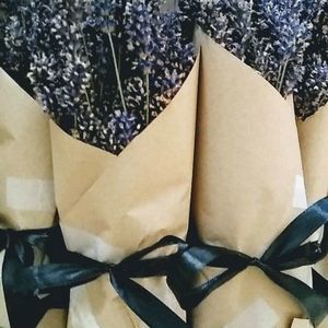 Meet your Posher, Lavender